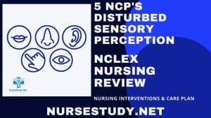disturbed sensory perception nursing diagnosis