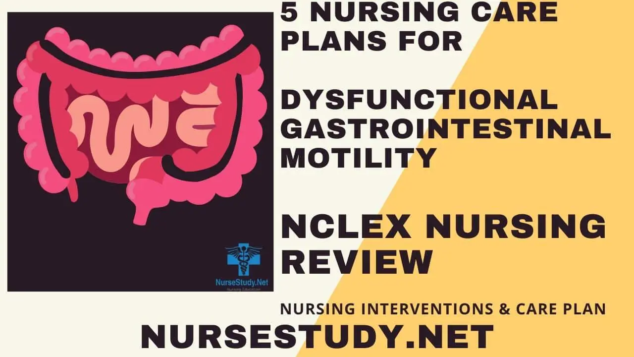 dysfunctional gastrointestinal motility nursing diagnosis