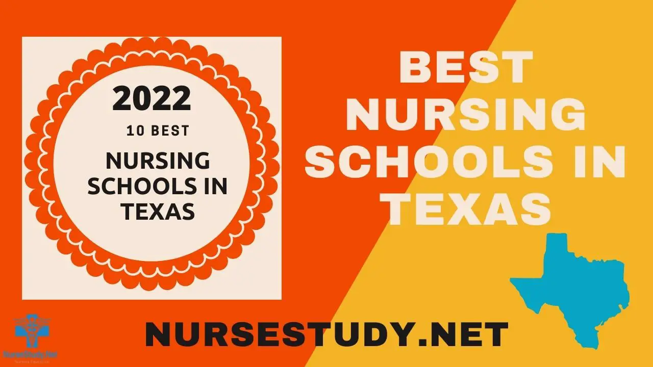 Best Nursing Schools In Texas NurseStudy Net