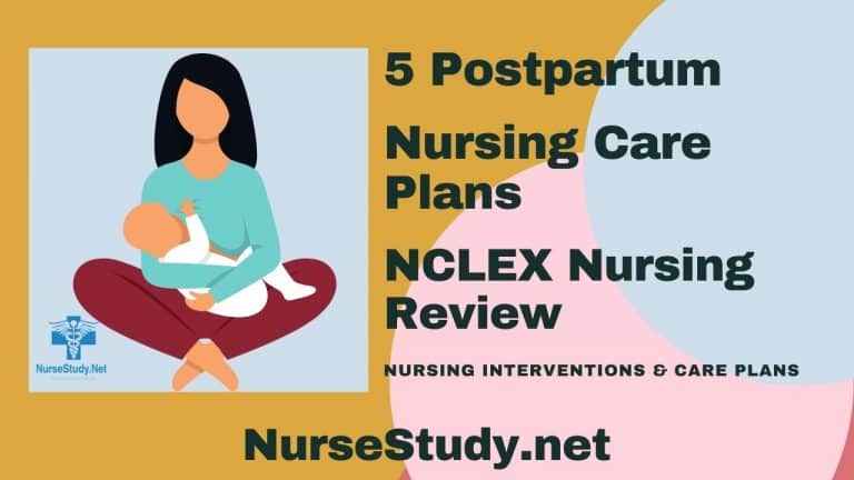 Postpartum Nursing Diagnosis and Nursing Care Plans NurseStudy Net