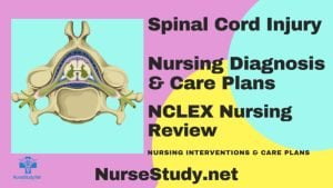 nursing diagnosis for spinal cord injury