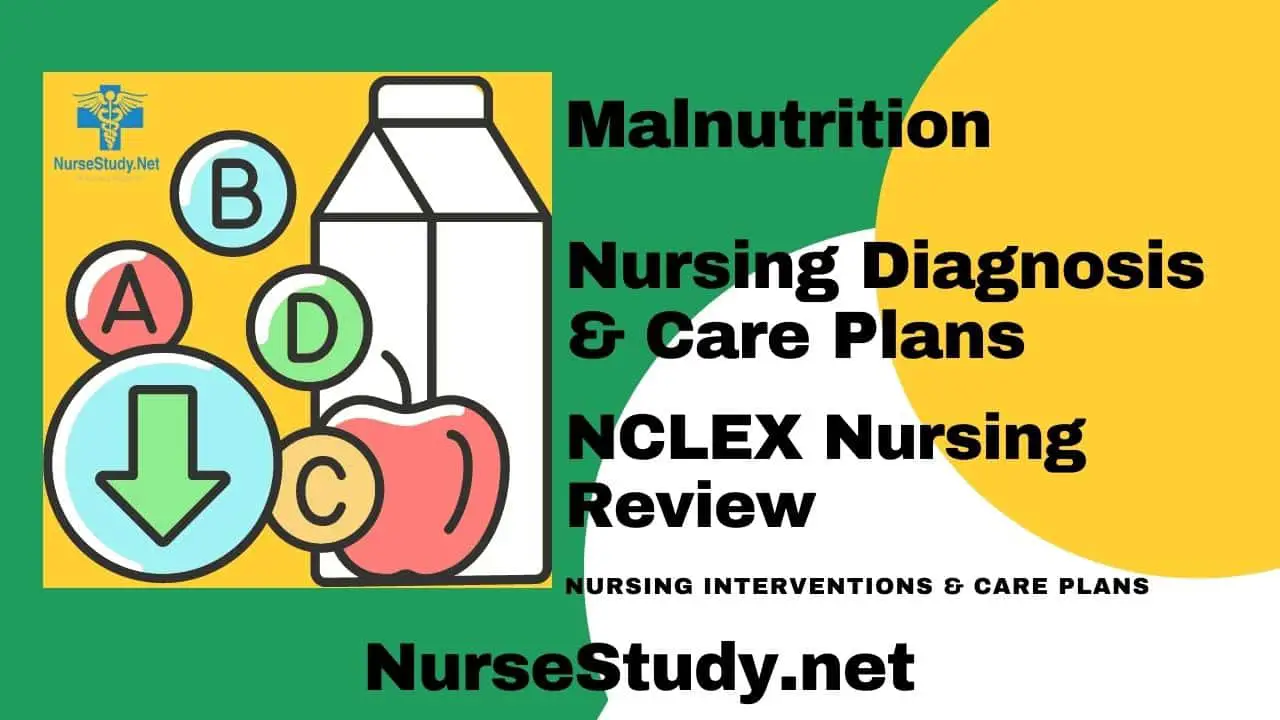 Example Of Nursing Care Plan For Malnutrition