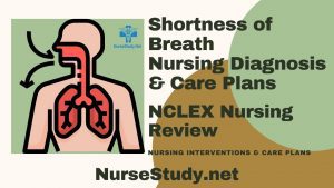 nursing diagnosis for shortness of breath