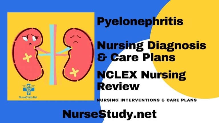 Pyelonephritis Nursing Diagnosis and Nursing Care Plans - NurseStudy.Net