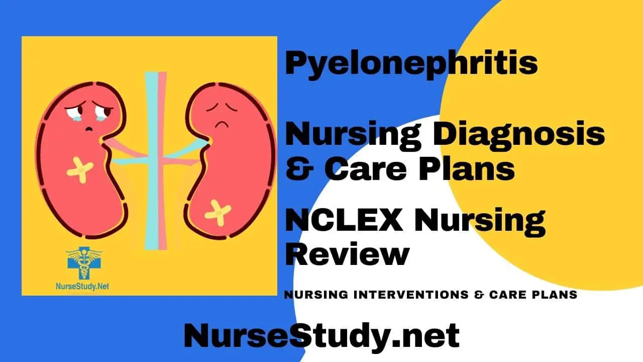 nursing diagnosis for pyelonephritis