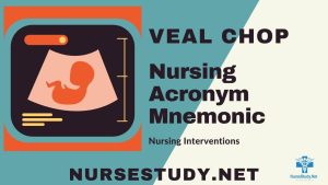 veal chop nursing