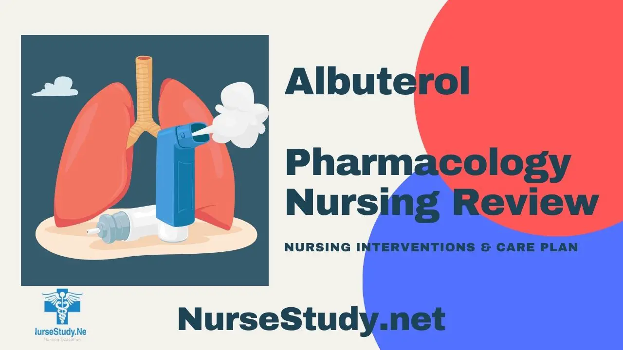 albuterol-nursing-considerations-nursestudy-net