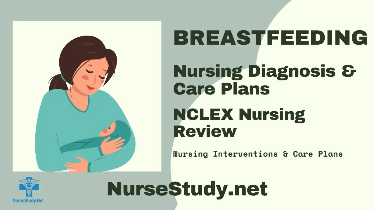 breastfeeding nursing diagnosis