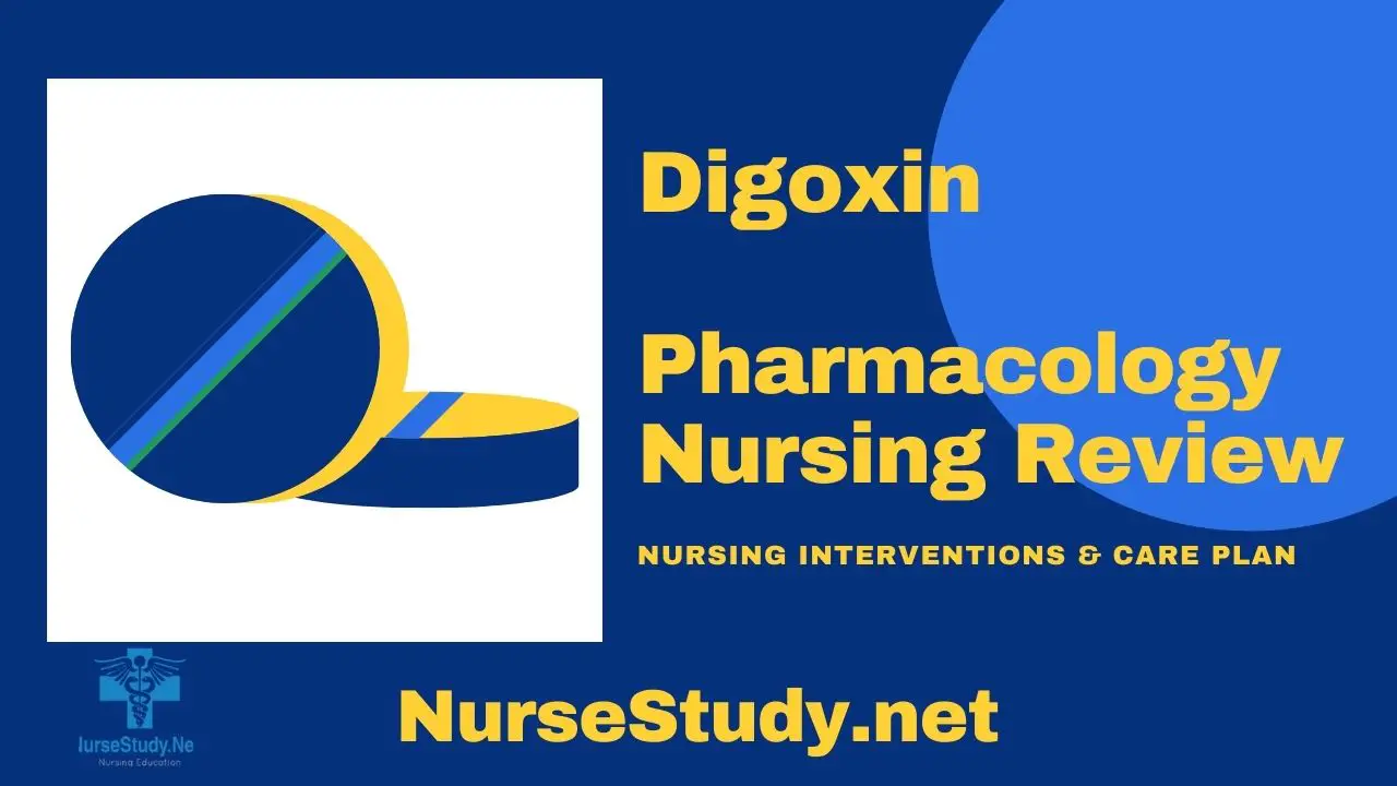 digoxin nursing considerations