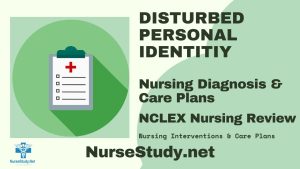 disturbed personal identity nursing diagnosis