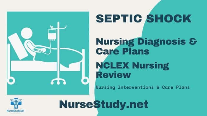 Septic Shock Nursing Diagnosis And Nursing Care Plan - NurseStudy.Net