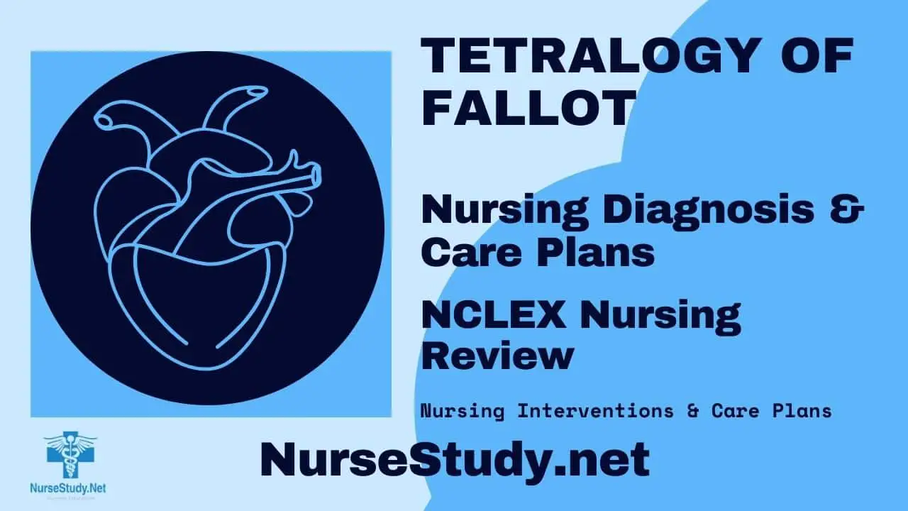 nursing diagnosis tetralogy of fallot