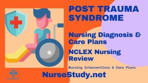 Post-Traumatic Stress Disorder (PTSD) nursing diagnosis