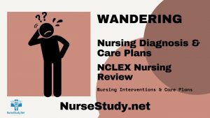 nursing diagnosis wandering