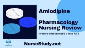 amlodipine nursing considerations