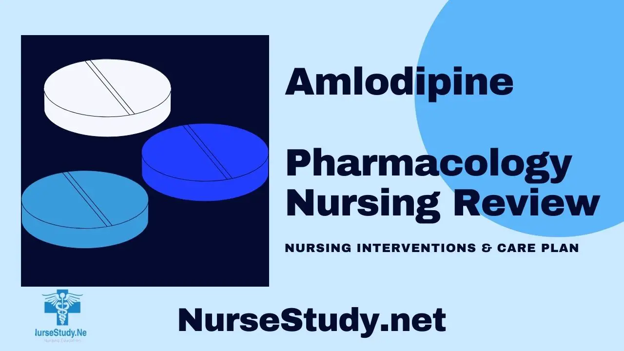 amlodipine nursing considerations