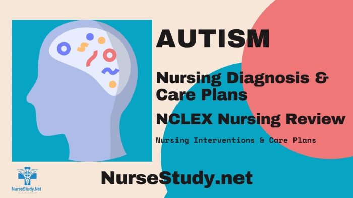 Autism Nursing Diagnosis & Care Plan - NurseStudy.Net