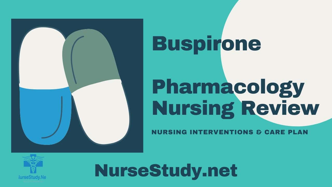 buspirone nursing considerations