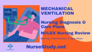 mechanical ventilation nursing diagnosis