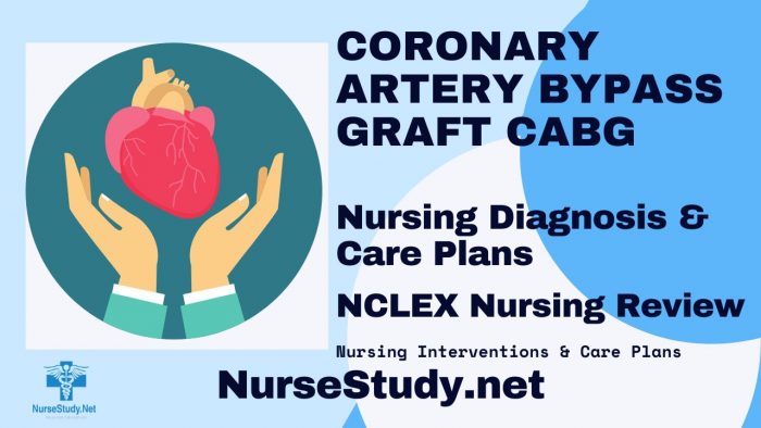 Coronary Artery Bypass Graft Nursing Diagnosis and Nursing Care Plan ...