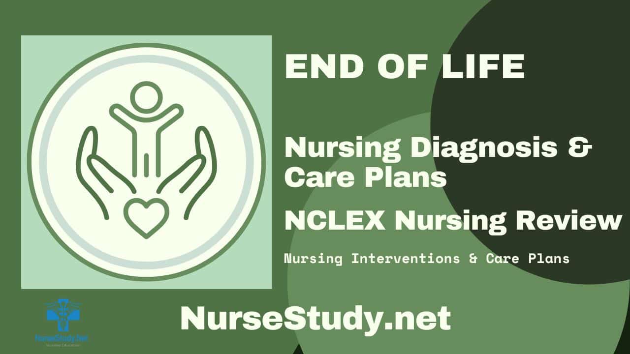 end-of-life-nursing-diagnosis-and-nursing-care-plan-nursestudy-net