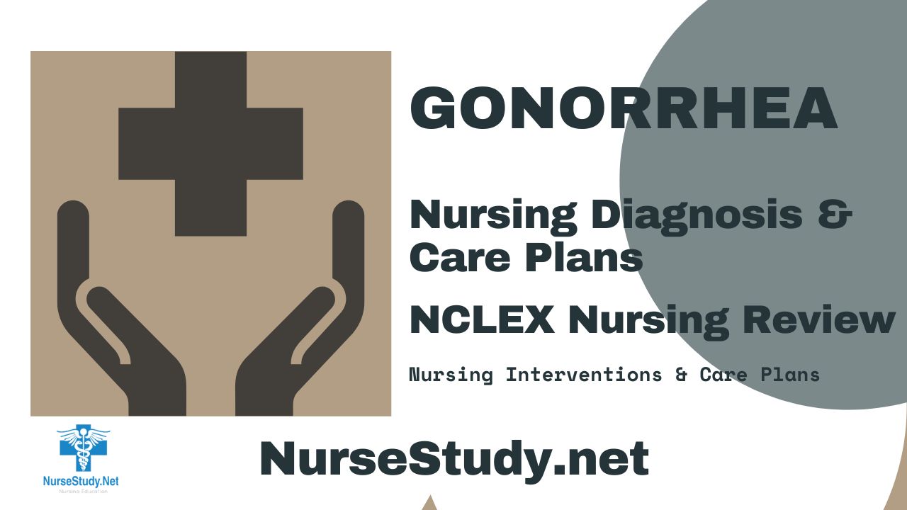 nursing diagnosis for gonorrhea