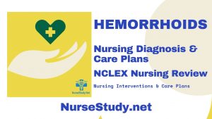 Hemorrhoids Nursing Diagnosis & Care Plan - NurseStudy.Net