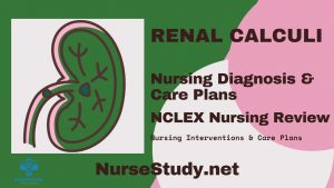 nursing diagnosis for renal calculi