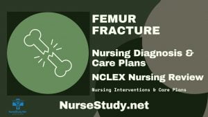 nursing diagnosis for femur fracture