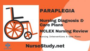 nursing diagnosis for paraplegia