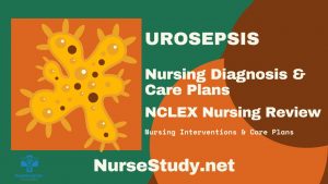 urosepsis nursing diagnosis