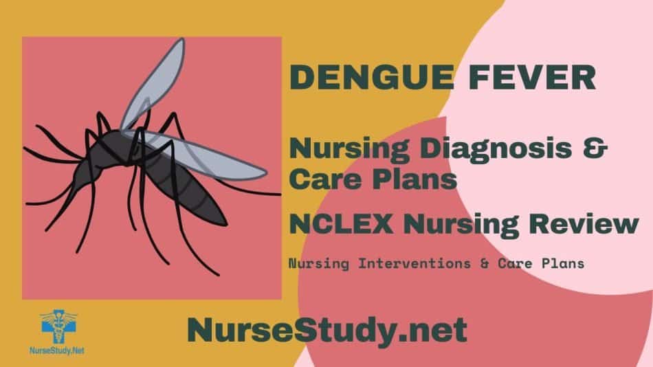 nursing diagnosis for dengue fever