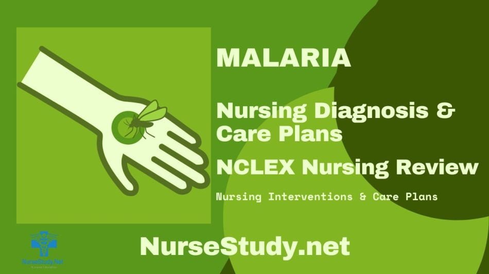 nursing diagnosis for malaria