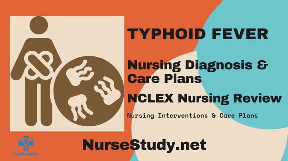 nursing diagnosis for typhoid fever