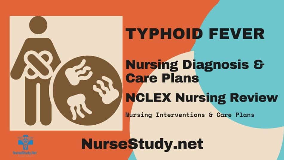 typhoid-fever-nursing-diagnosis-and-nursing-care-plan-nursestudy-net