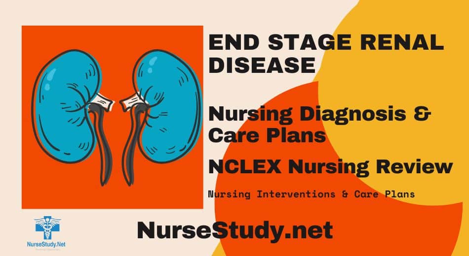 nursing diagnosis for end stage renal disease