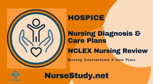 hospice nursing diagnosis
