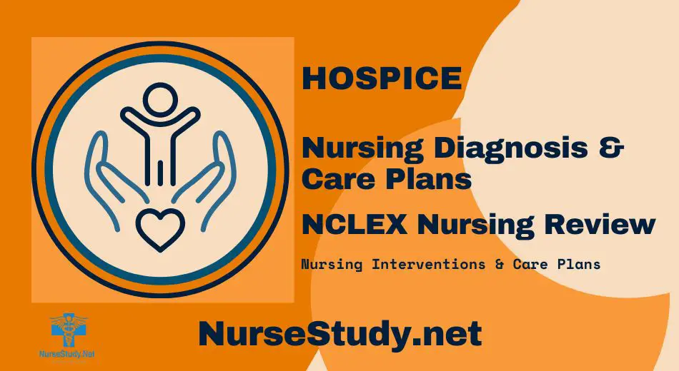 hospice nursing diagnosis