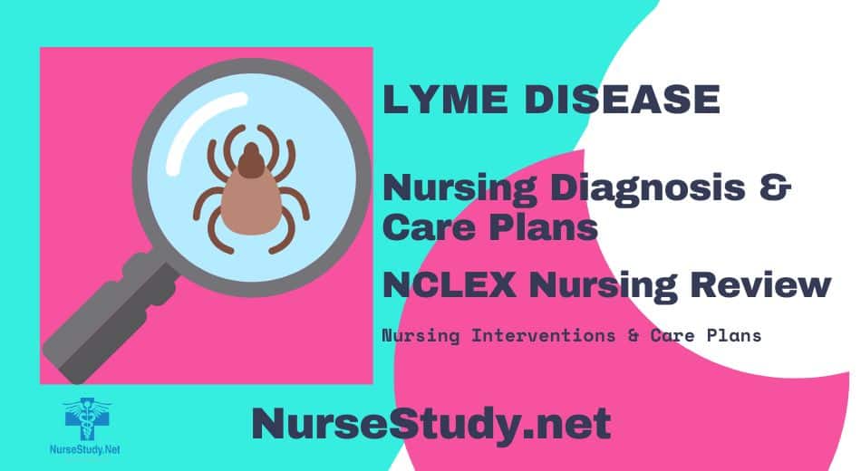 nursing diagnosis for lyme disease
