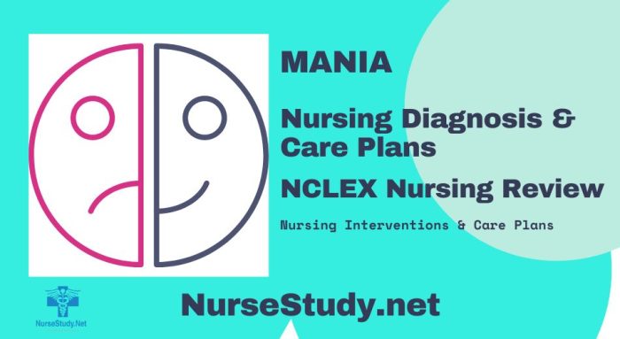 nursing diagnosis for mania