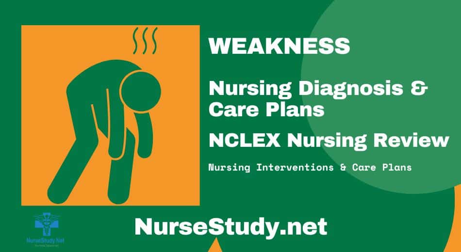 Weakness Nursing Diagnosis and Care Plan - NurseStudy.Net