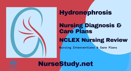 nursing diagnosis for hydronephrosis