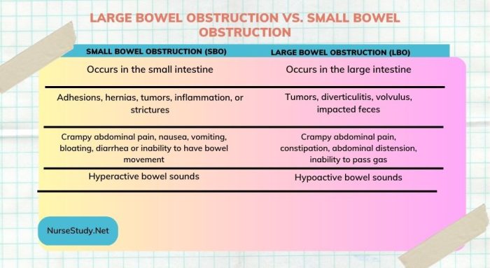 Large Bowel Obstruction vs. Small Bowel Obstruction