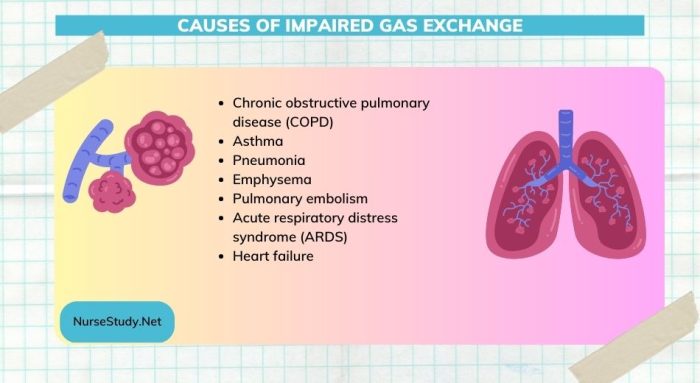 Impaired Gas Exchange causes