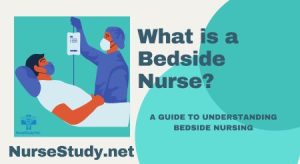 what is a bedside nurse