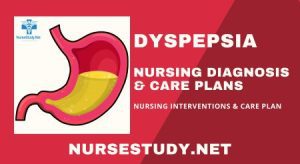 Dyspepsia Nursing Diagnosis