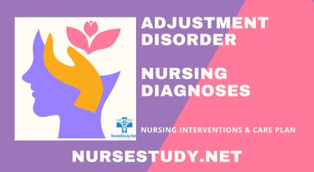 nursing diagnosis for adjustment disorder