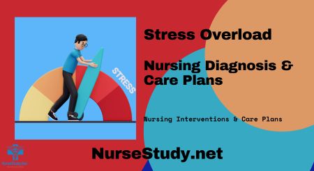 stress overload Nursing Diagnosis