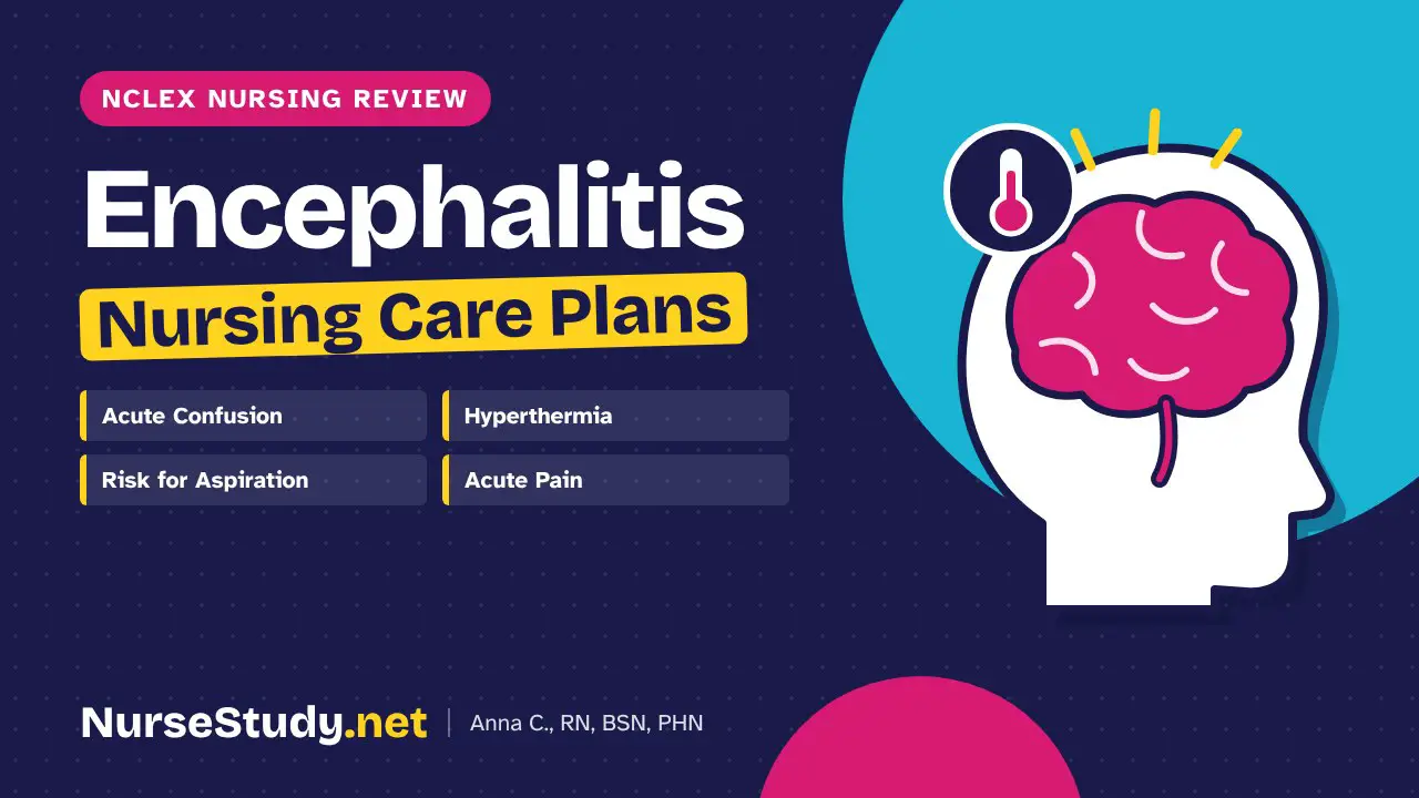 Encephalitis nursing care plans - NCLEX nursing review, NurseStudy.net