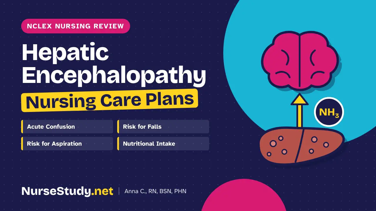 Hepatic Encephalopathy nursing care plans - NCLEX nursing review, NurseStudy.net